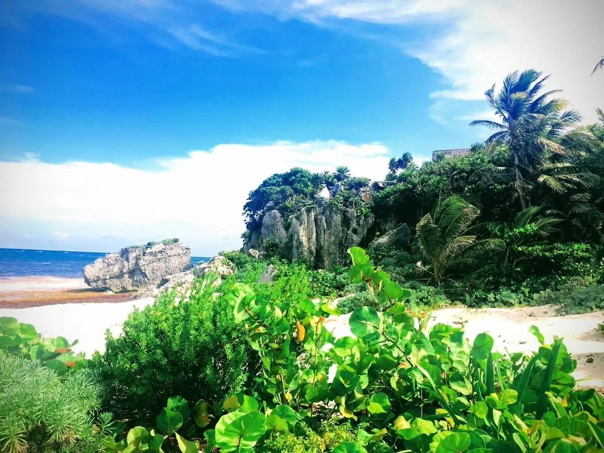 Jungle Sanctuary With Spa Tulum Messico