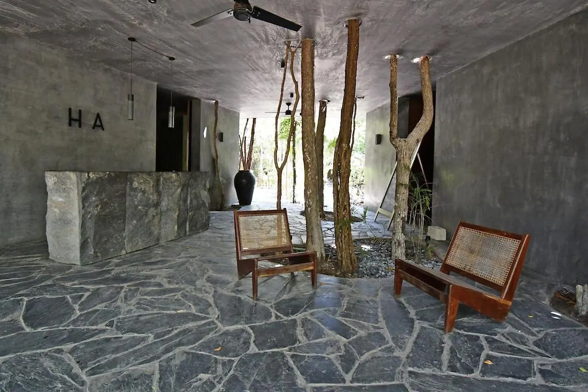 Jungle Sanctuary With Spa Tulum Messico